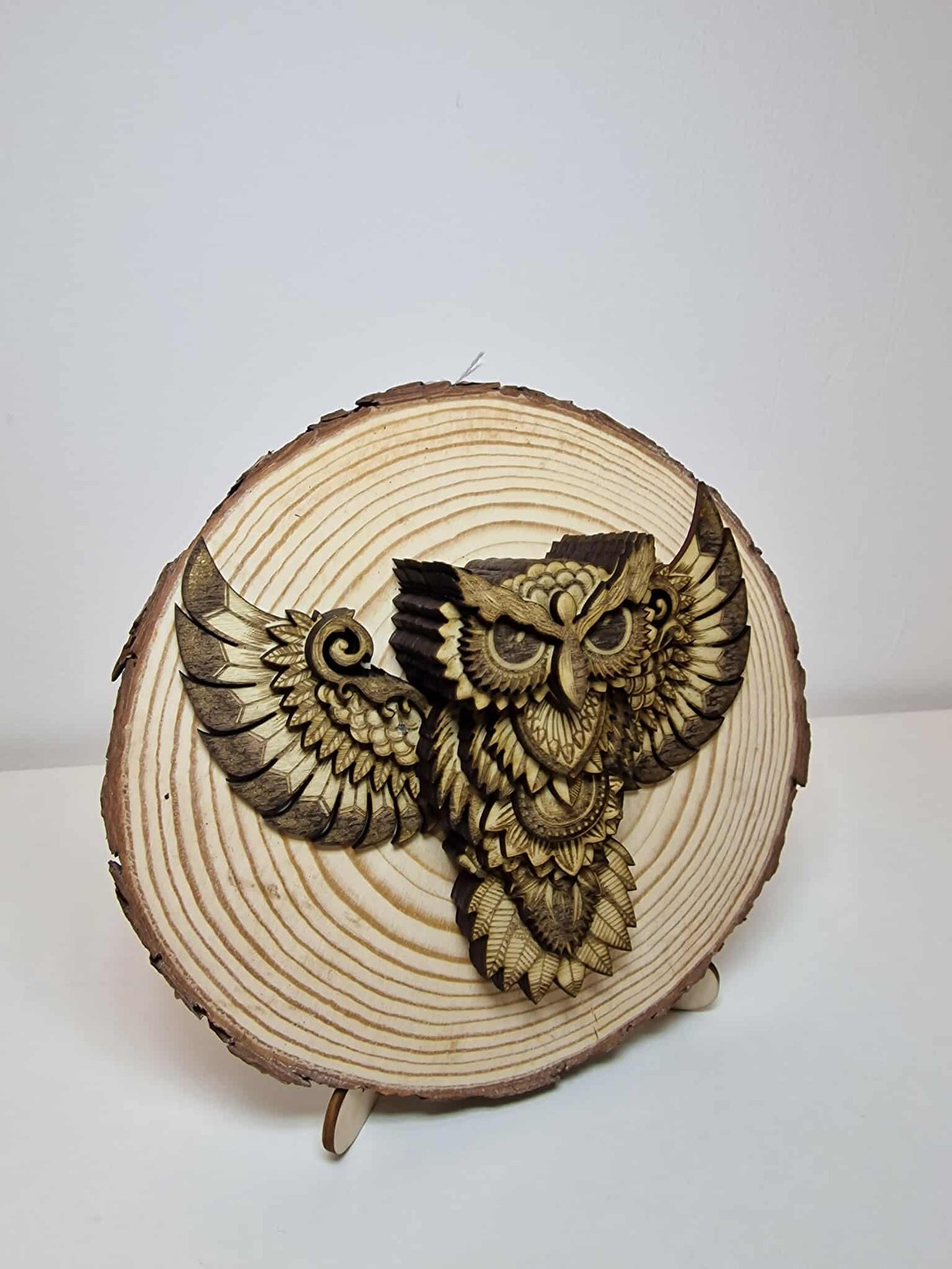 Multi Layered Owl Wall Art