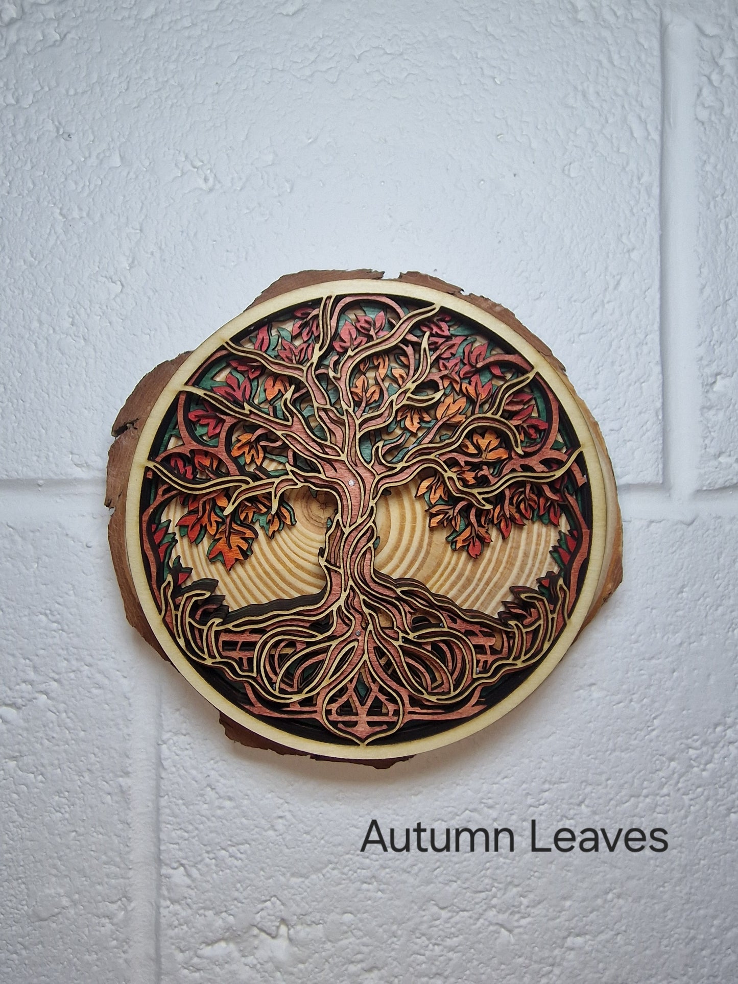 Multilayered Tree of Life on Natural Log Slice
